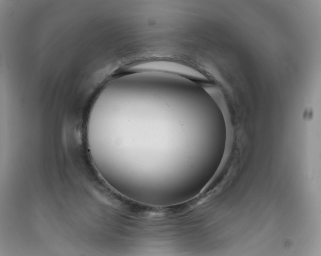 X0000091990068200709201456