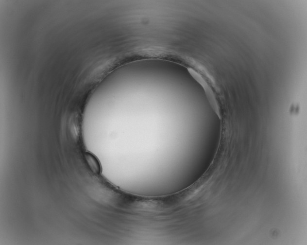 X0000091990069200709201456