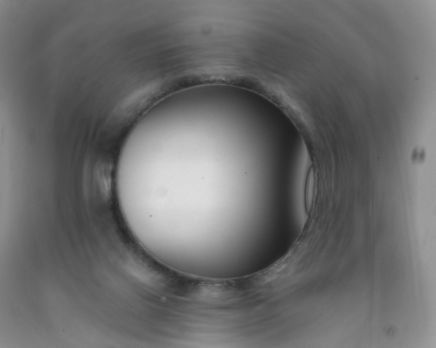 X0000091990070200709201456