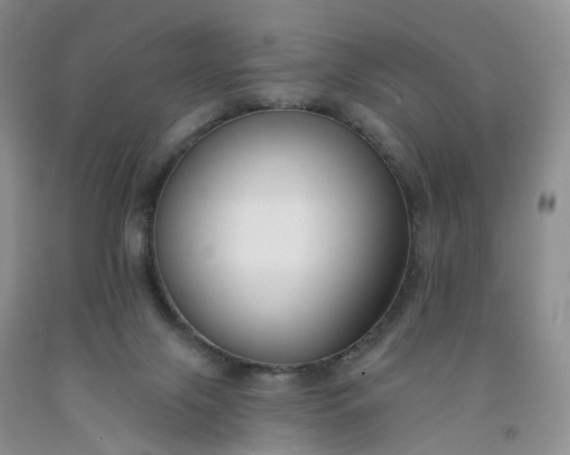 X0000091990071200709201456