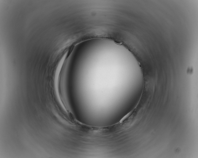 X0000091990072200709201456