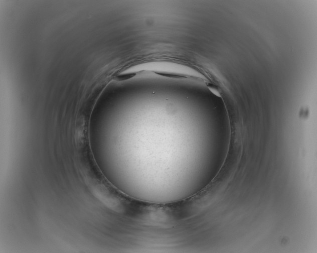 X0000091990073200709201456