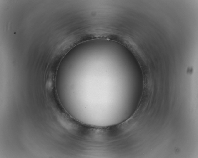 X0000091990074200709201456