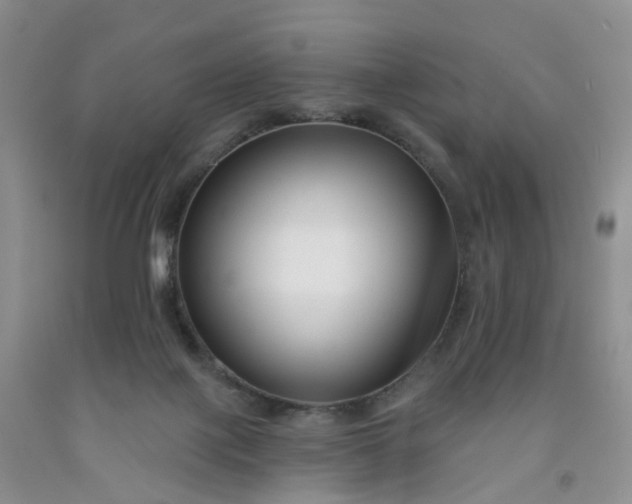 X0000091990075200709201456