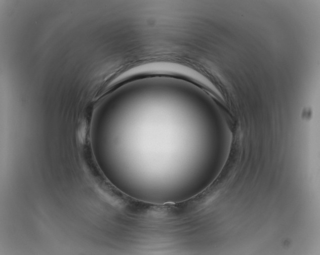 X0000091990076200709201456