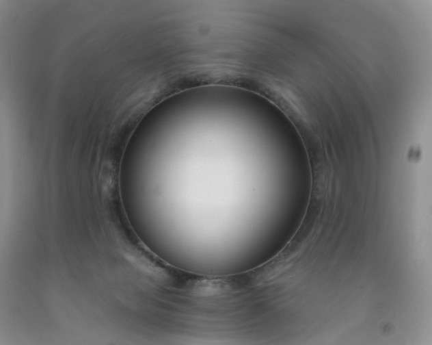 X0000091990077200709201456