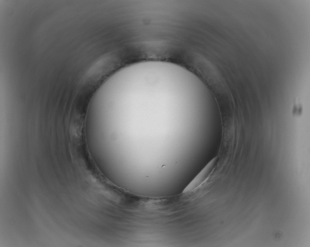 X0000091990078200709201456