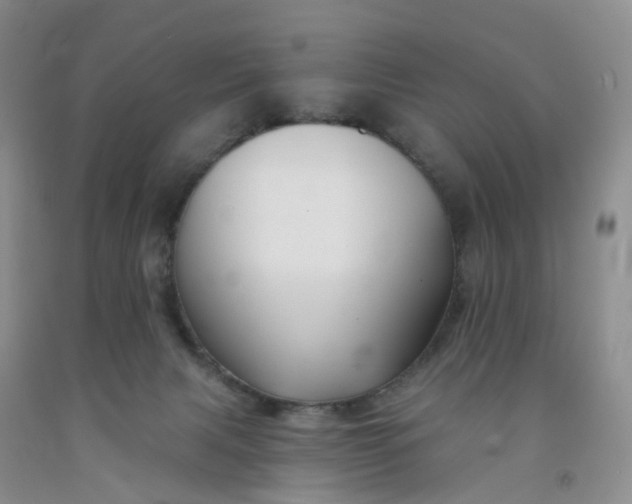 X0000091990079200709201456