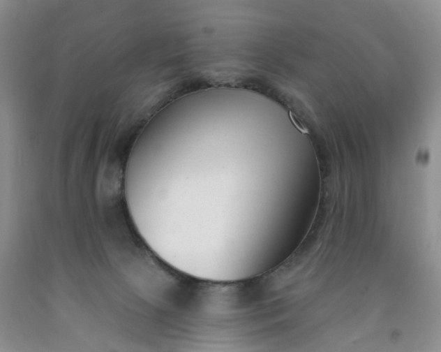 X0000091990081200709201456