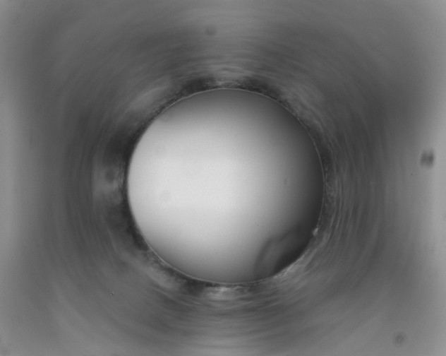 X0000091990082200709201456