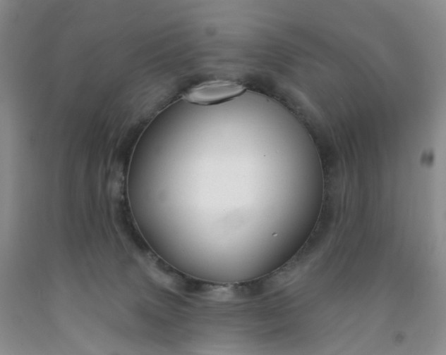 X0000091990083200709201456