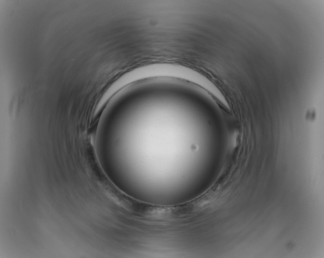 X0000091990084200709201456