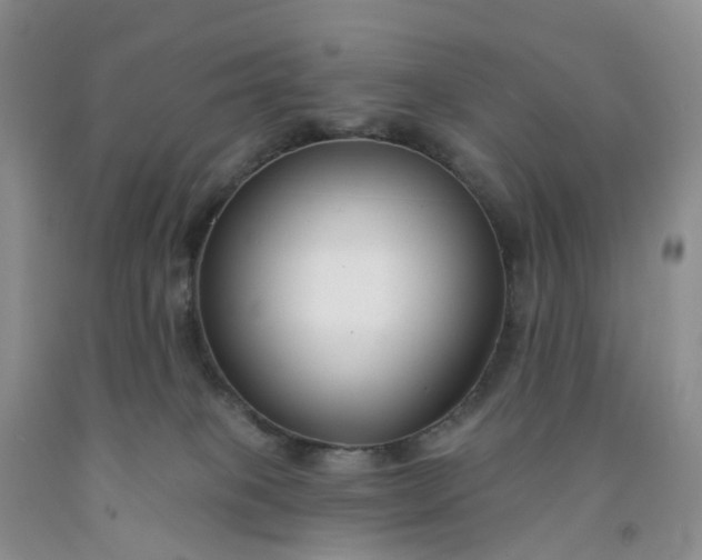 X0000091990085200709201456