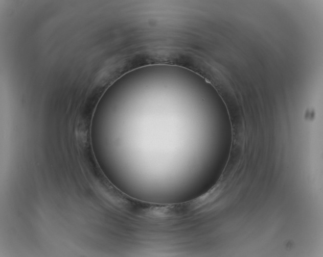 X0000091990086200709201456