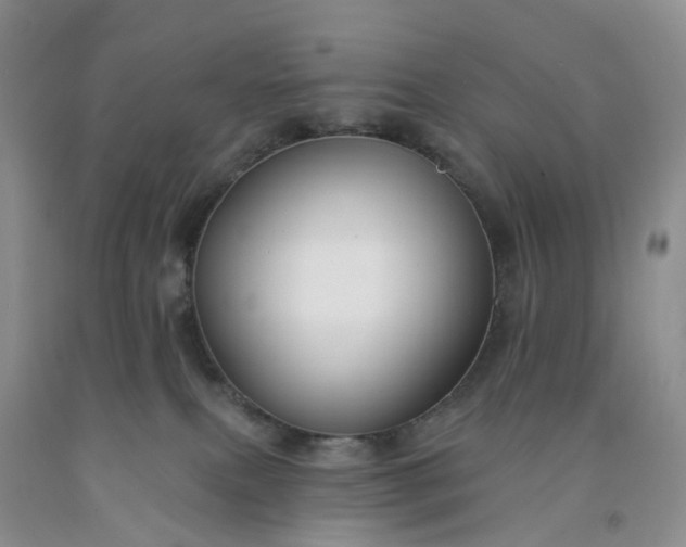 X0000091990087200709201456