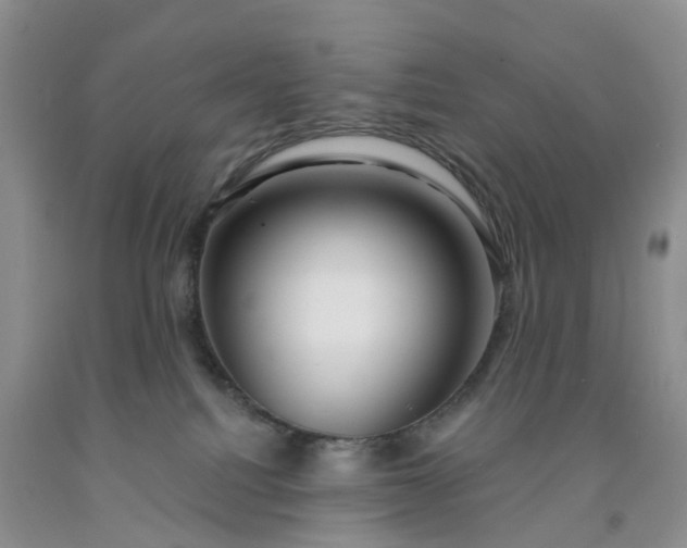 X0000091990088200709201456