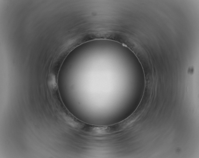 X0000091990089200709201456