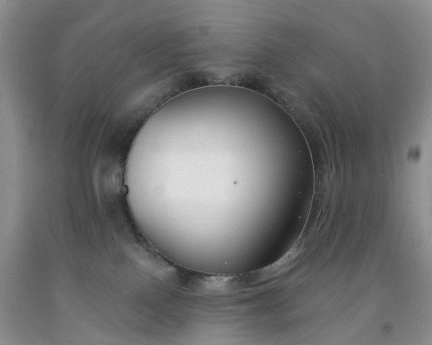 X0000091990090200709201456