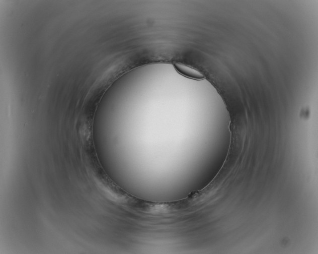 X0000091990091200709201456