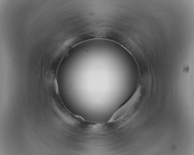 X0000091990092200709201456