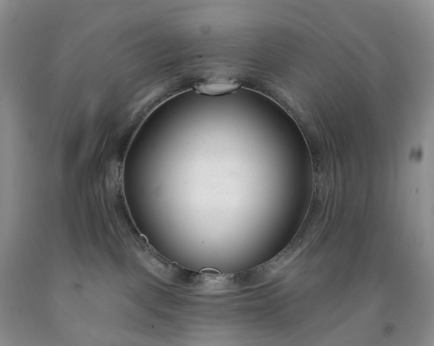 X0000091990093200709201456