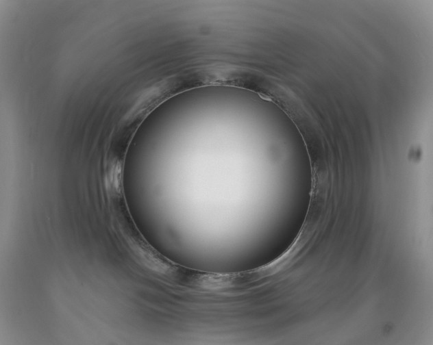 X0000091990094200709201456