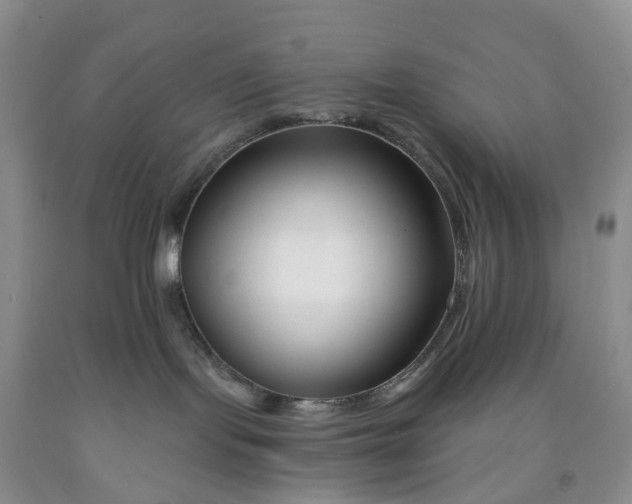 X0000091990095200709201456