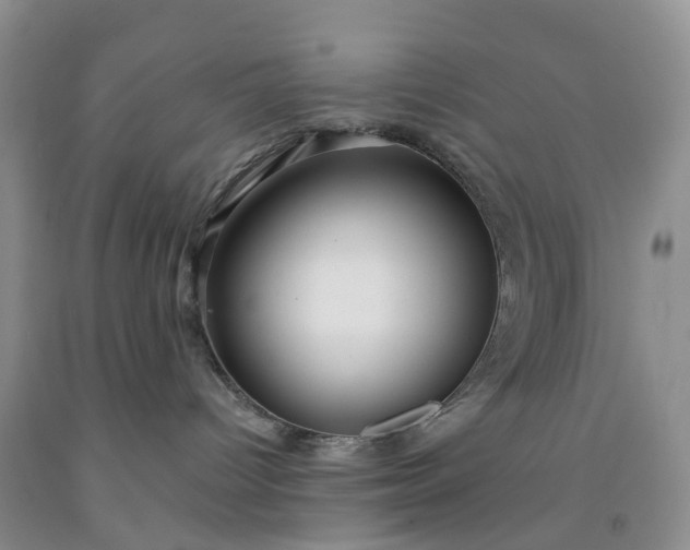 X0000091990096200709201456