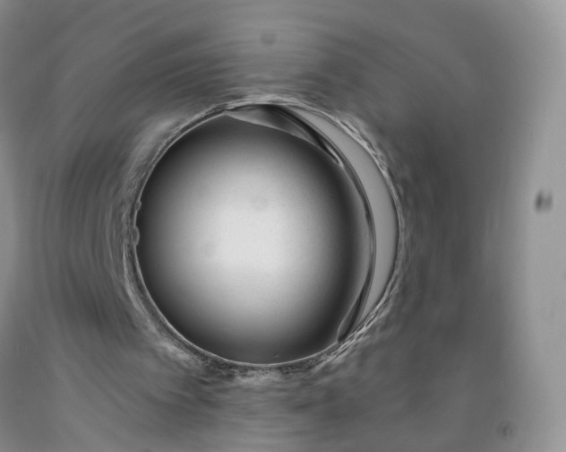 X0000091990097200709201456