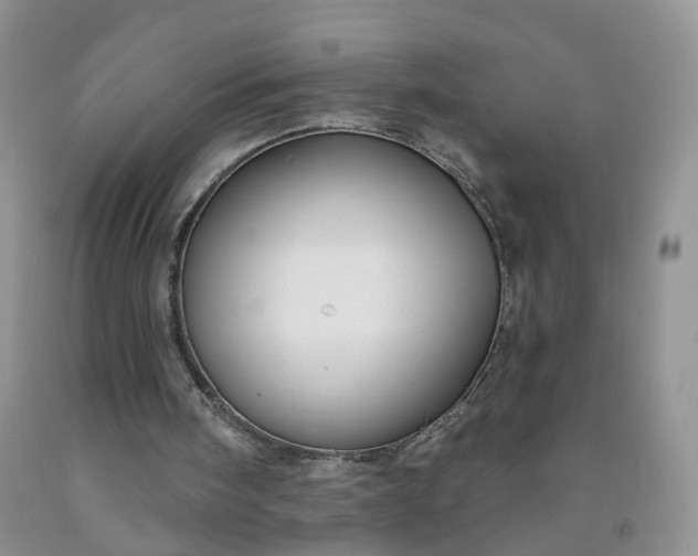 X0000091990098200709201455