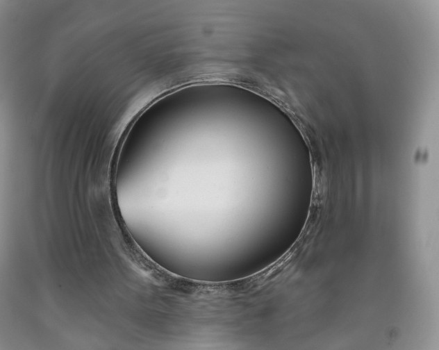 X0000091990099200709201455