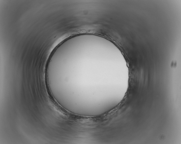 X0000091990100200709201455