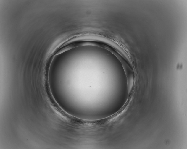 X0000091990101200709201455