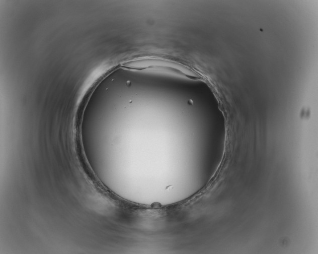 X0000091990102200709201455