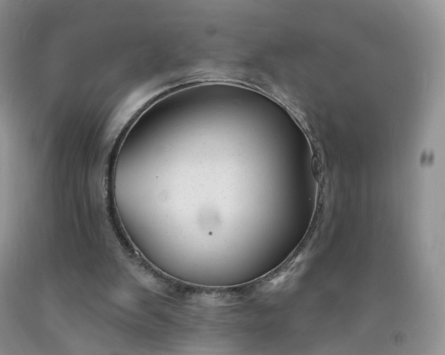 X0000091990103200709201455