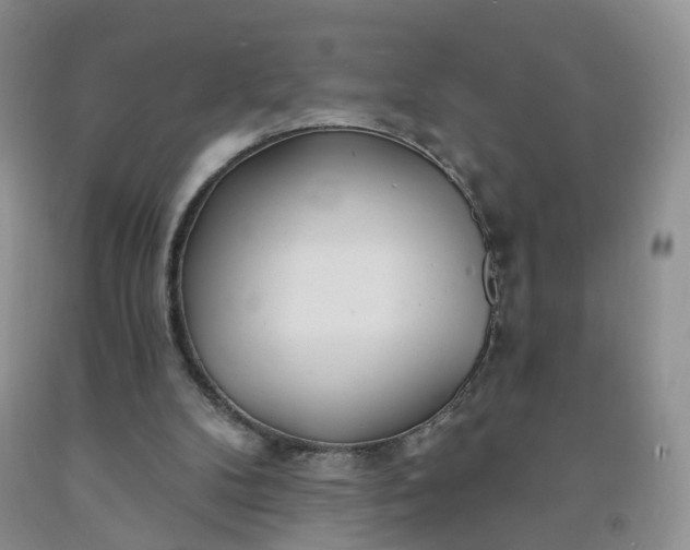 X0000091990104200709201455