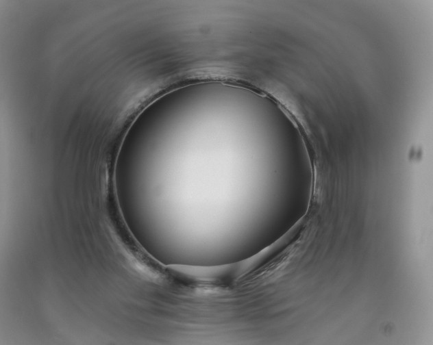 X0000091990109200709201455