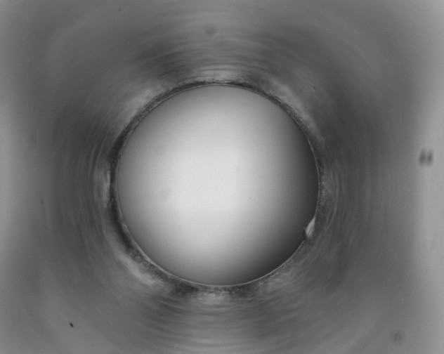 X0000091990110200709201455