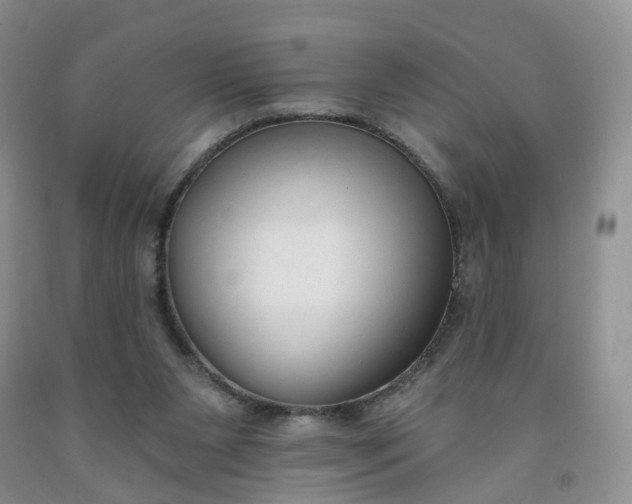 X0000091990111200709201455