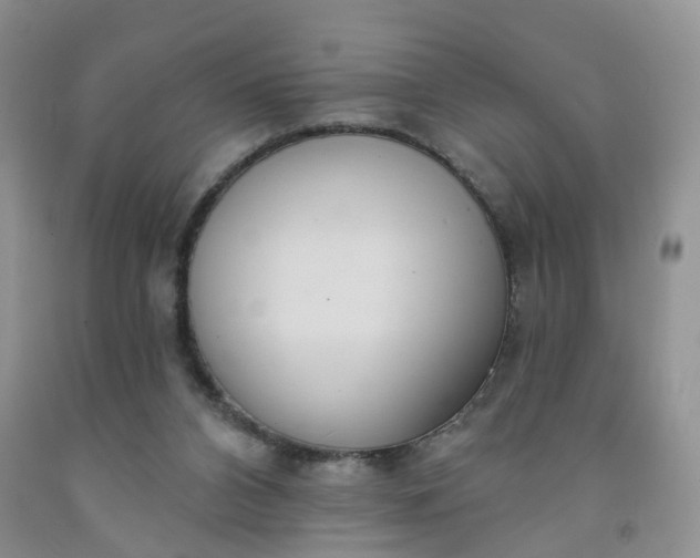 X0000091990112200709201455