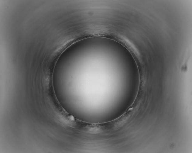 X0000091990113200709201455