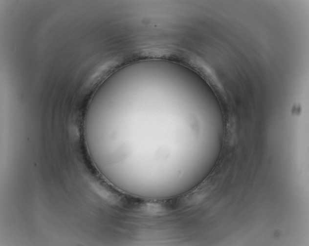 X0000091990114200709201455