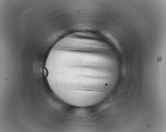 X0000091990115200709201455