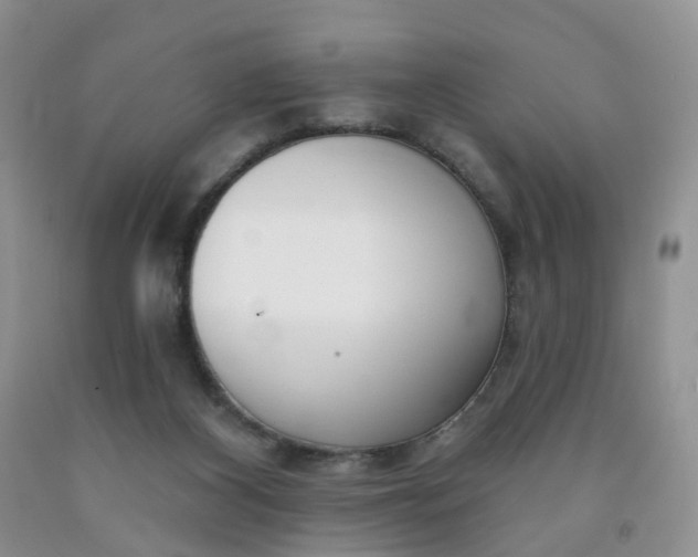 X0000091990116200709201455