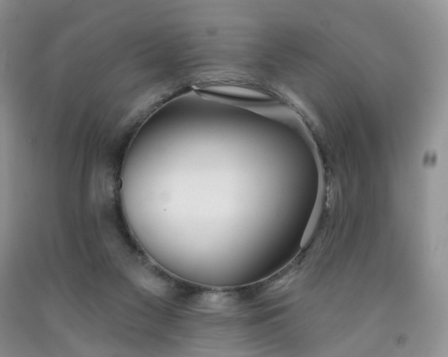 X0000091990117200709201455