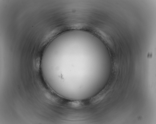 X0000091990118200709201455