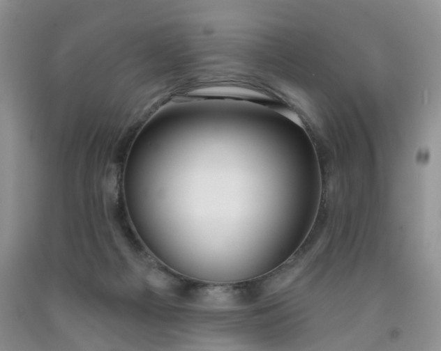 X0000091990121200709201455