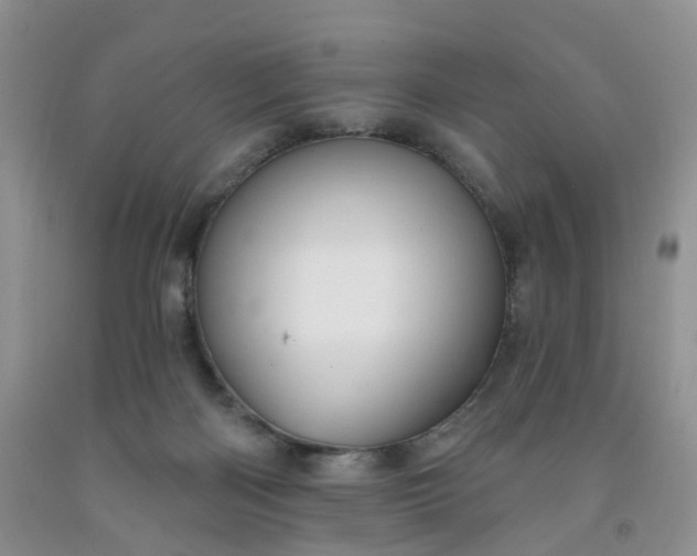 X0000091990122200709201455