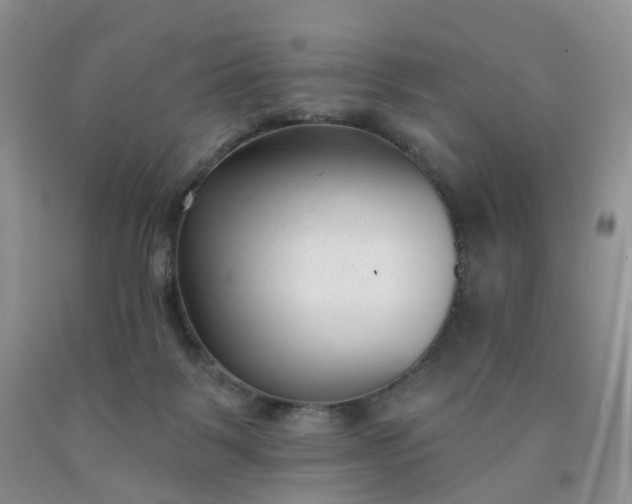 X0000091990123200709201455