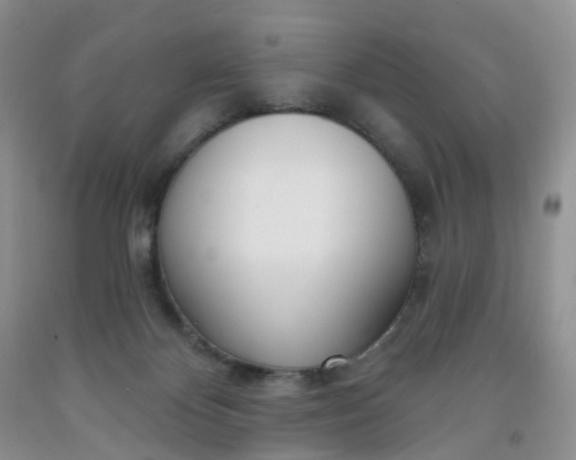 X0000091990124200709201455